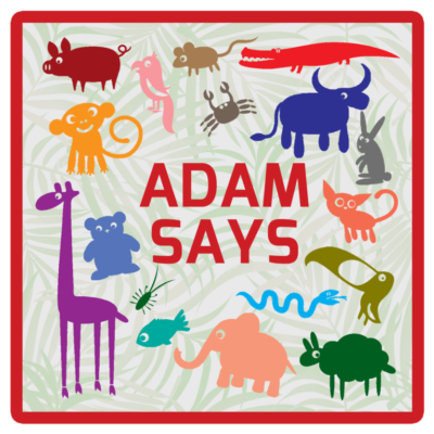Adam-Says-768x767